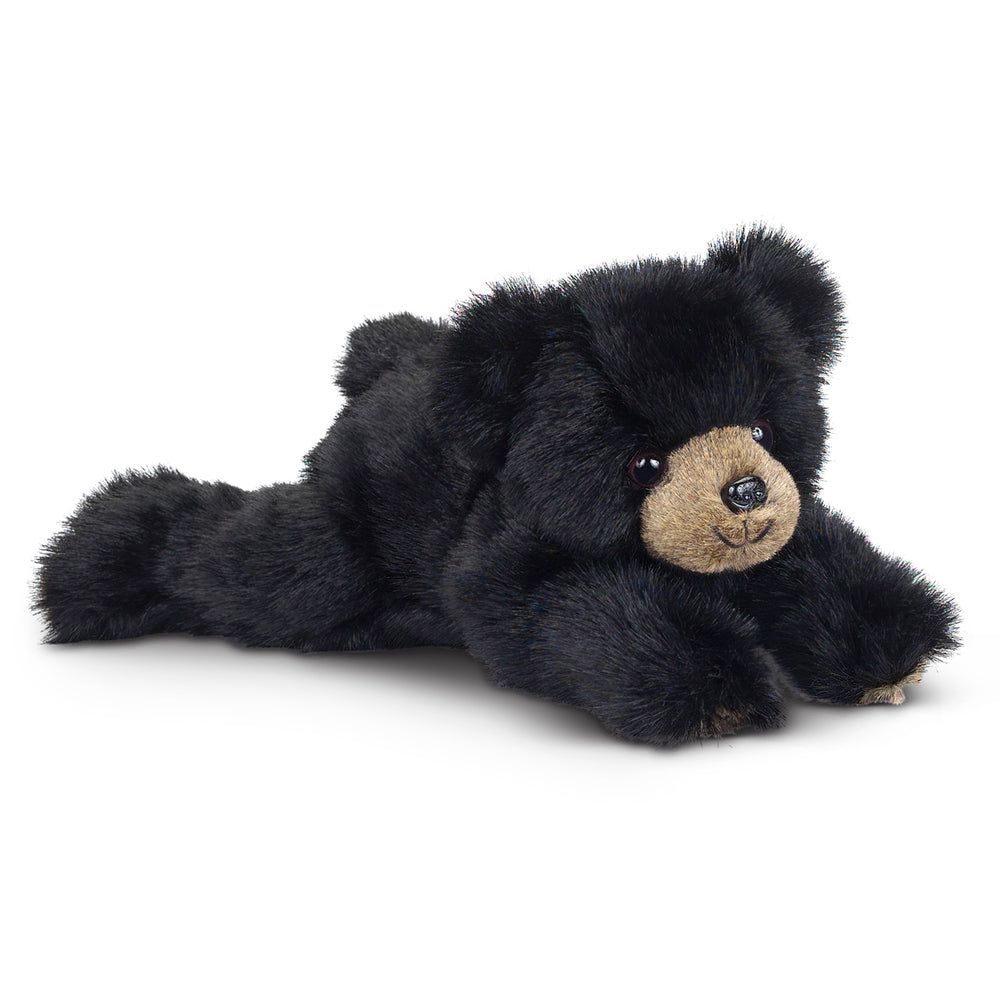 Baby Rocky the Black Bear