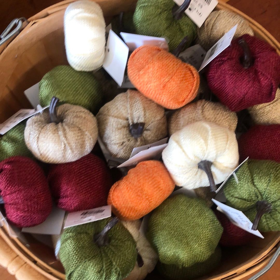 Assorted Baby Pumpkins