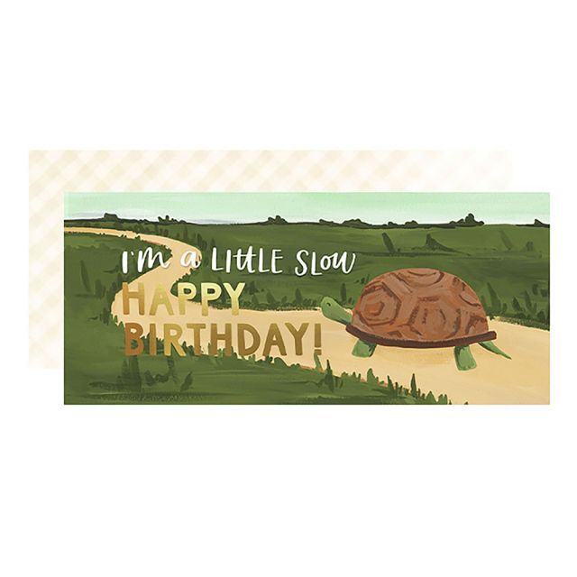 Birthday Turtle Card