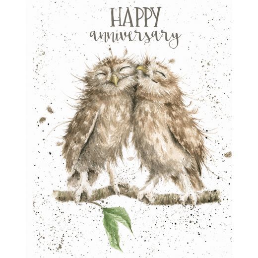 Anniversary Owls Anniversary Card