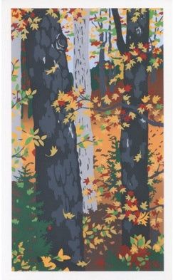 Autumn Woods Notecard Set Autumn Woods Notecard Set