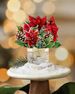 Birch Poinsettia Mini