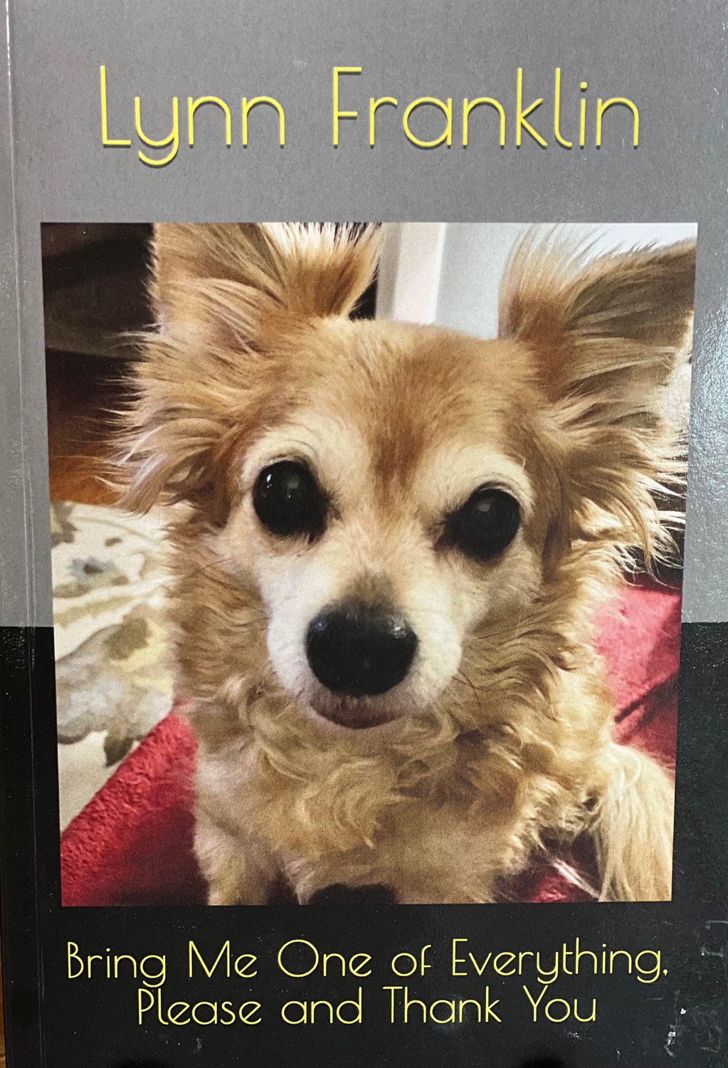 Bring Me One of Everything. Please and Thank you. book by Lynn Franklin