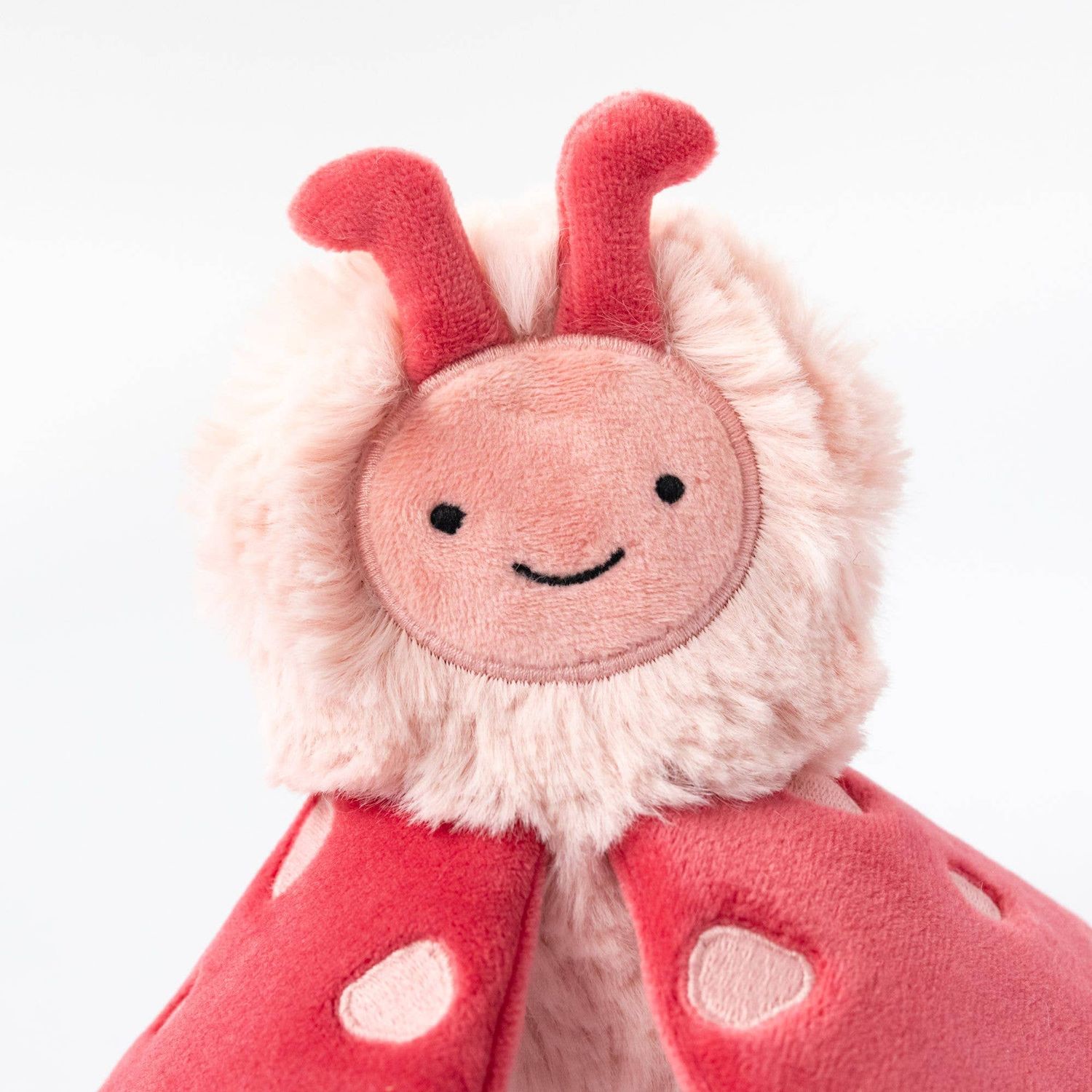 Blush Lovebug Mini &amp; Lynx Lesson Book - Self Expression