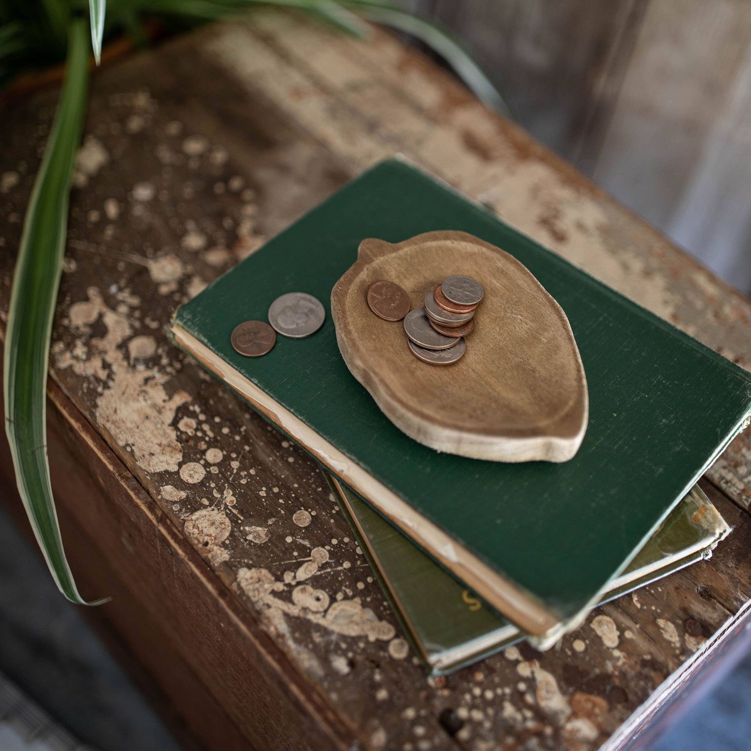Davey Leaf Trinket Tray
