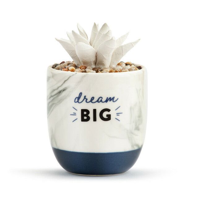 Dream Big Succulent Oil Diffuser