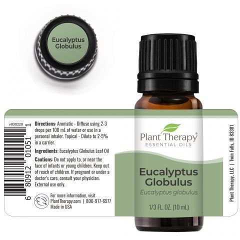 Eucalyptus Globulus Essential Oil