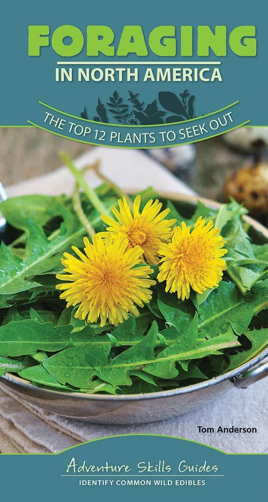 Foraging in North America Quick Guide