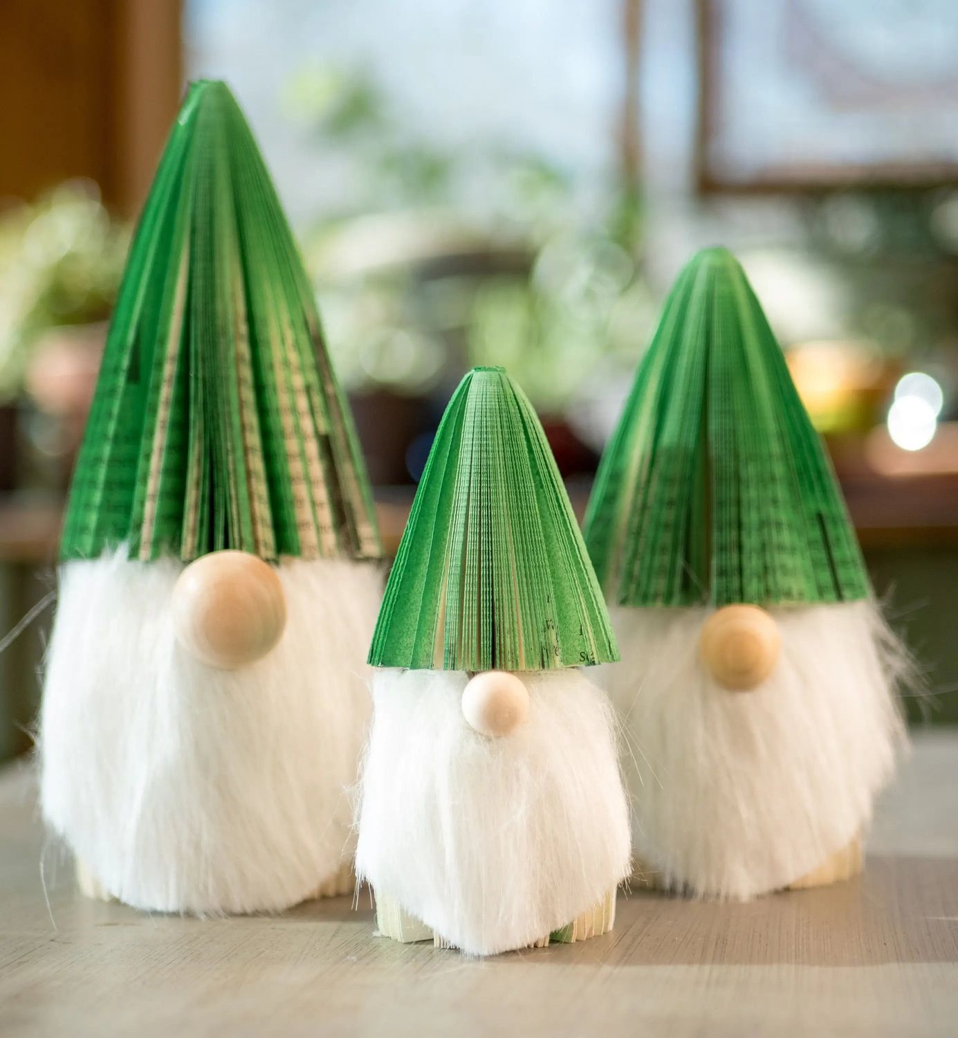 Green Book Gnome-Book Gift: Small