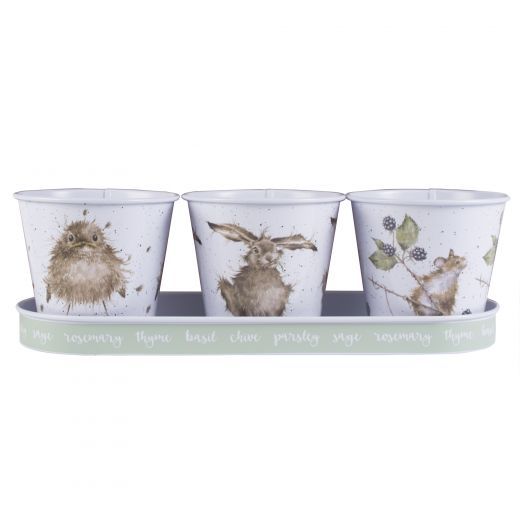 Herb Pots &amp; Tray Set