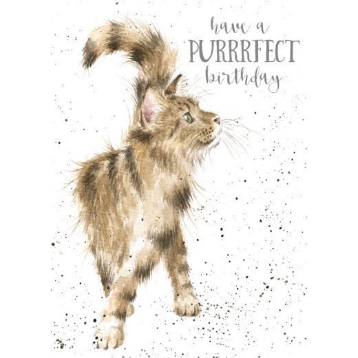 Just Purrfect Birthday Card
