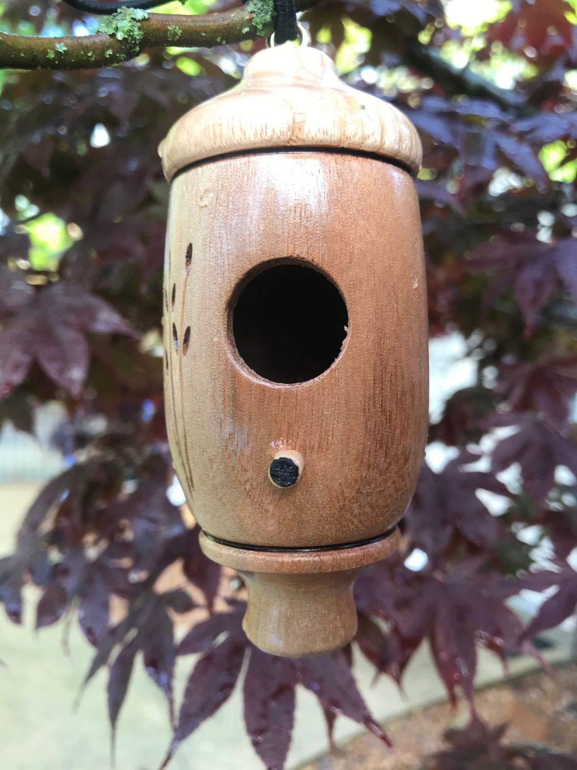 Hummingbird House