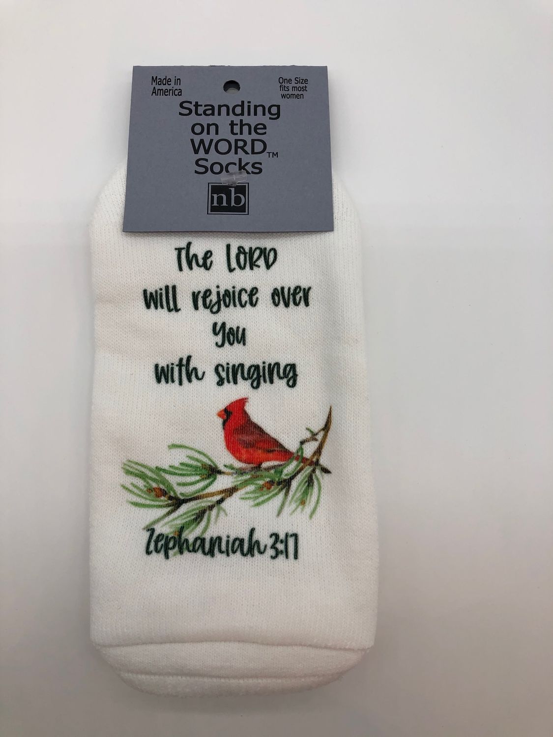 Lord Rejoices Over You- Standing on the Word Socks