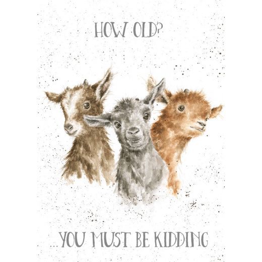 Just Kidding Birthday Card