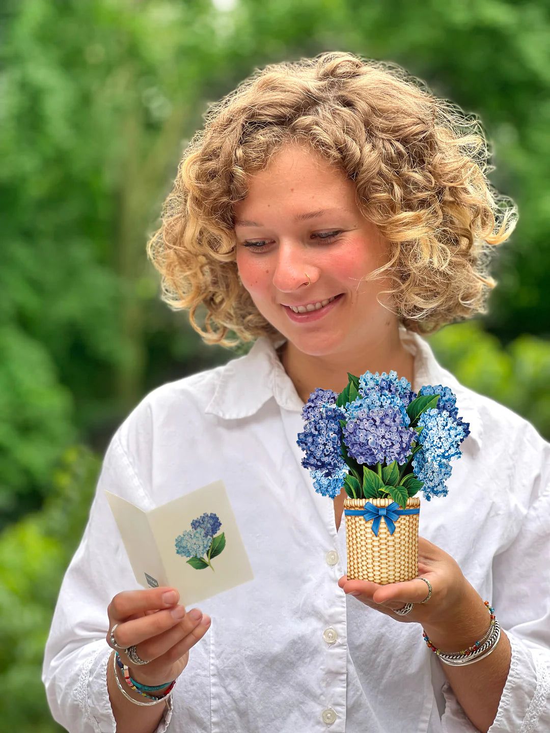 Mini Nantucket Hydrangeas
