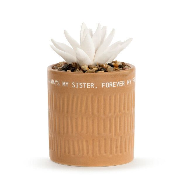 My Sister Succulent Oil Diffuser