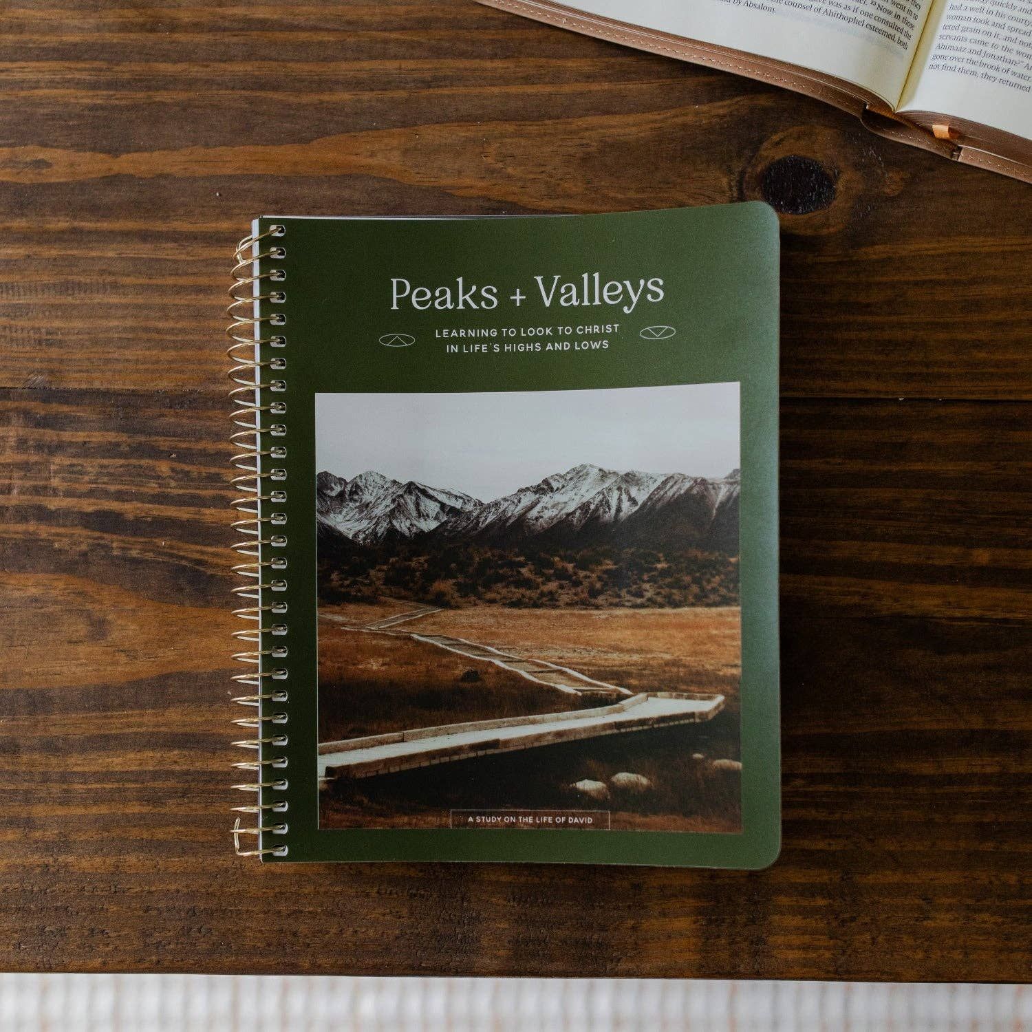Peaks and Valleys: Learning to Look to Christ in Life's Highs and Lows | A Study on the Life of David - Men