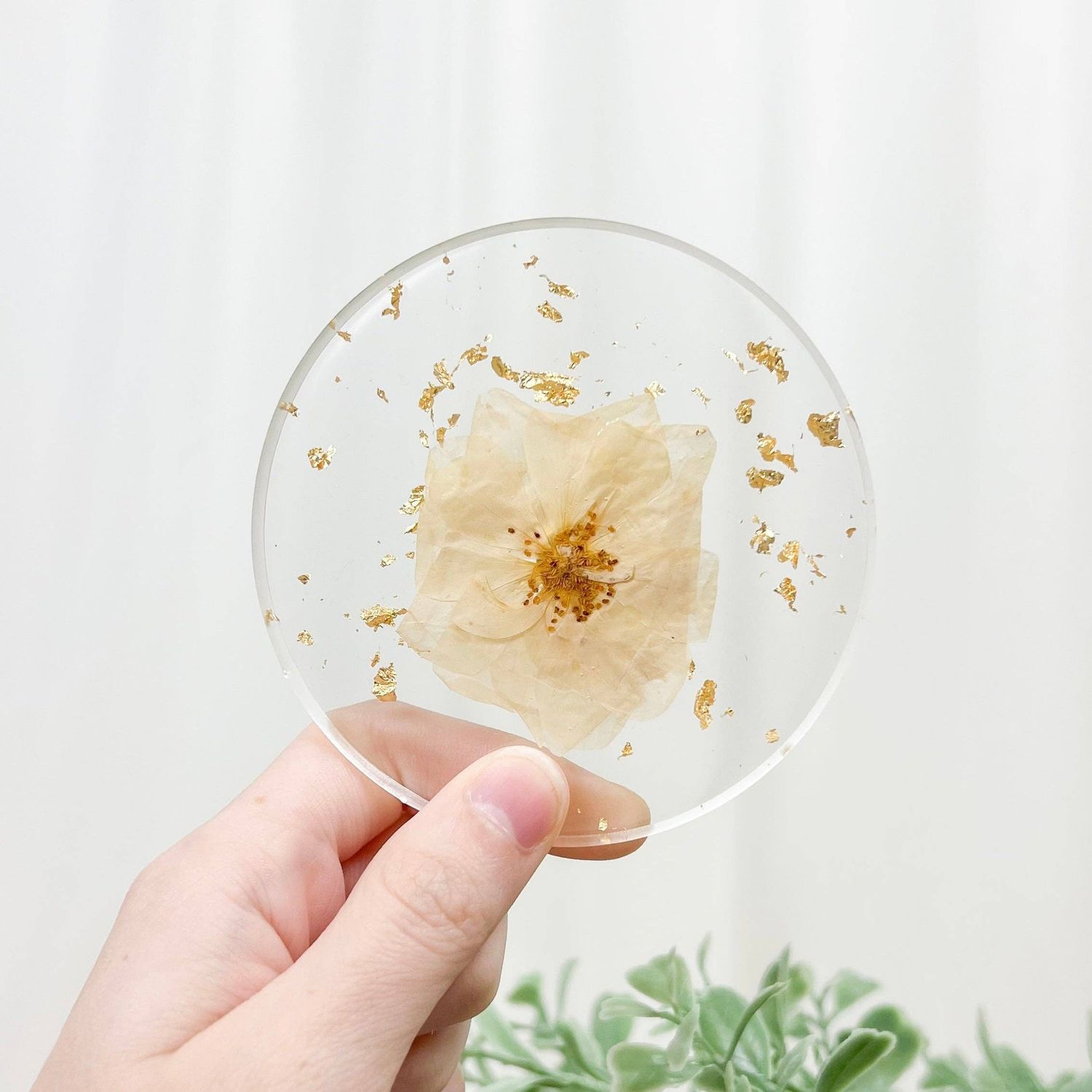 Pressed Flower coaster - white rose