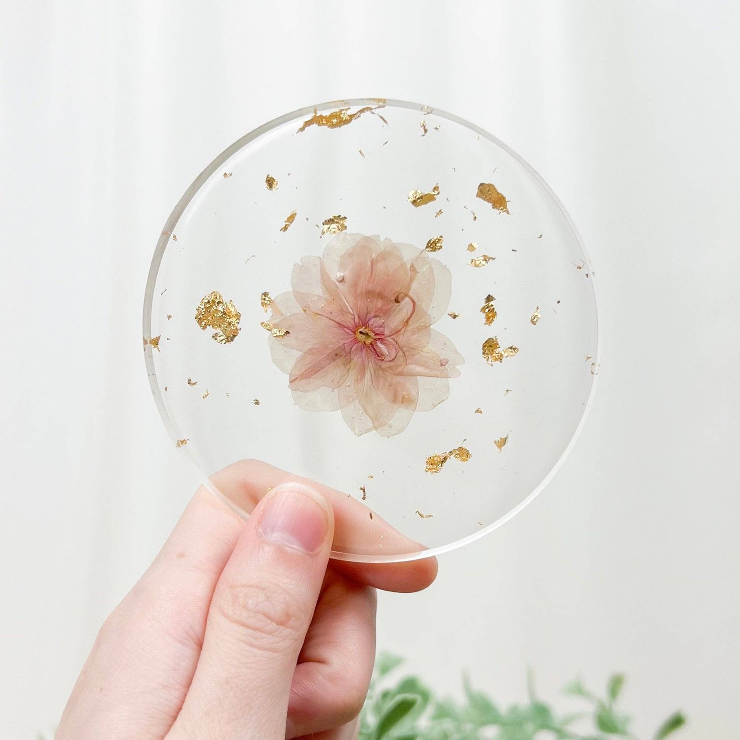Pressed Flower coaster - cherry blossom