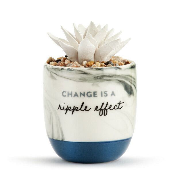 Ripple Effect Succulent Oil Diffuser