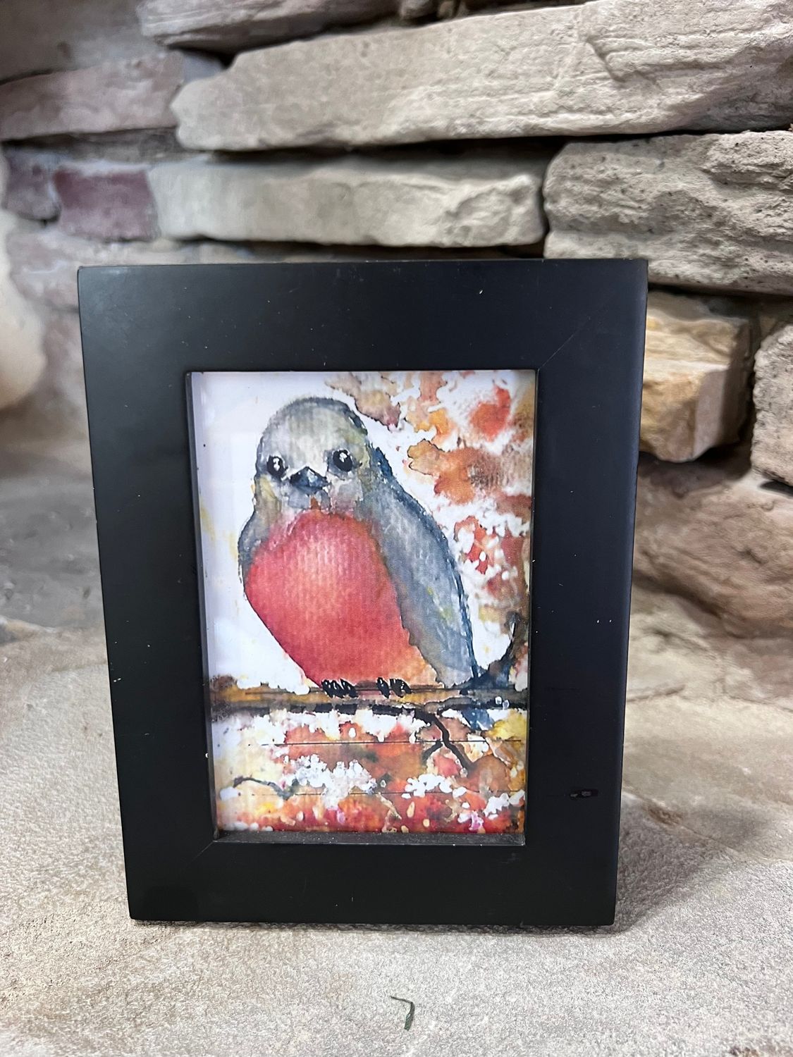 Robin Redbreast "4x6" Black Framed Print