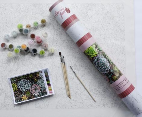 SALE-Sensitive Succulents- Paint by Number Kit