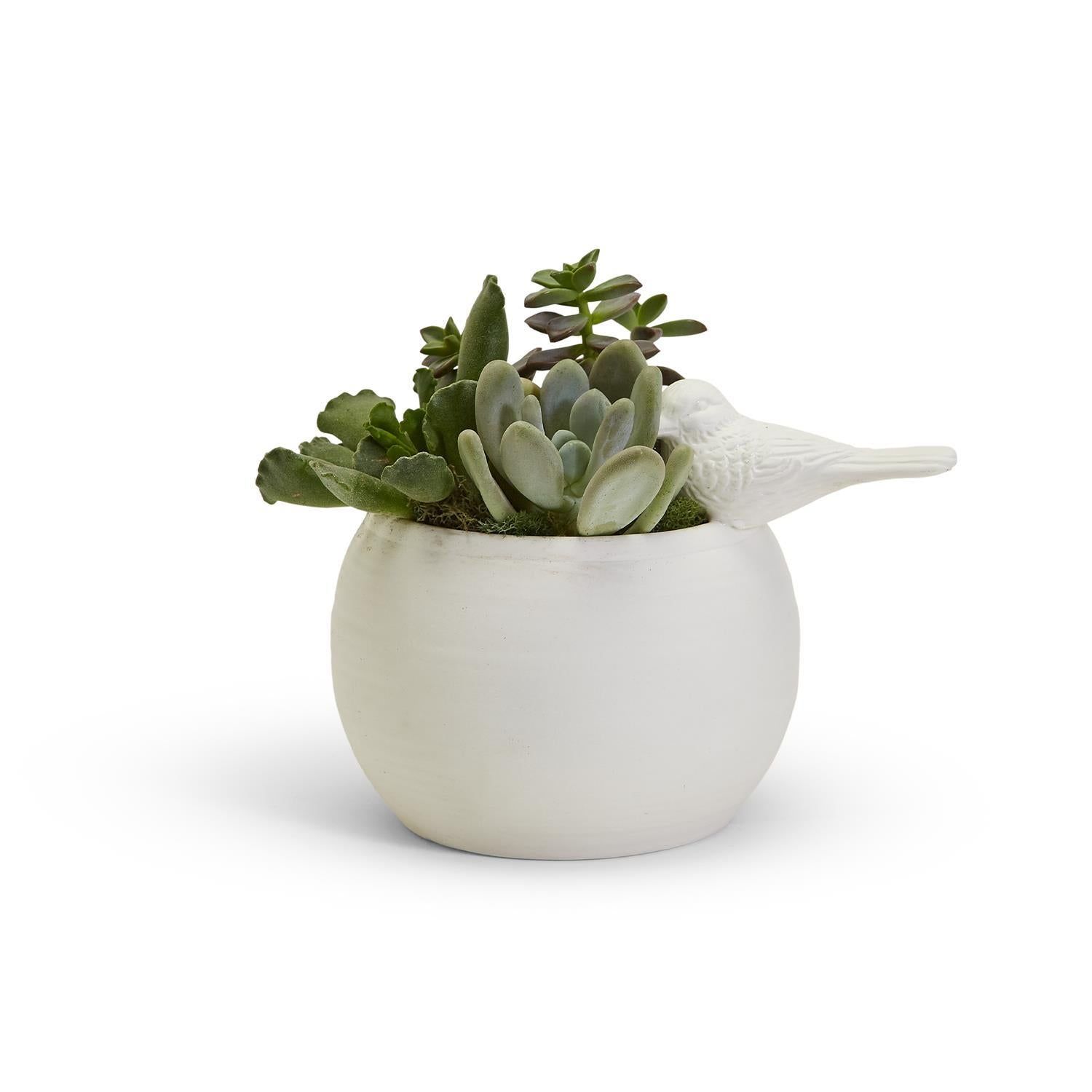 Sitting Pretty Bird/Cachepot