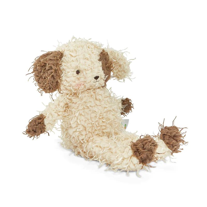 Shaggy Fetch the Dog