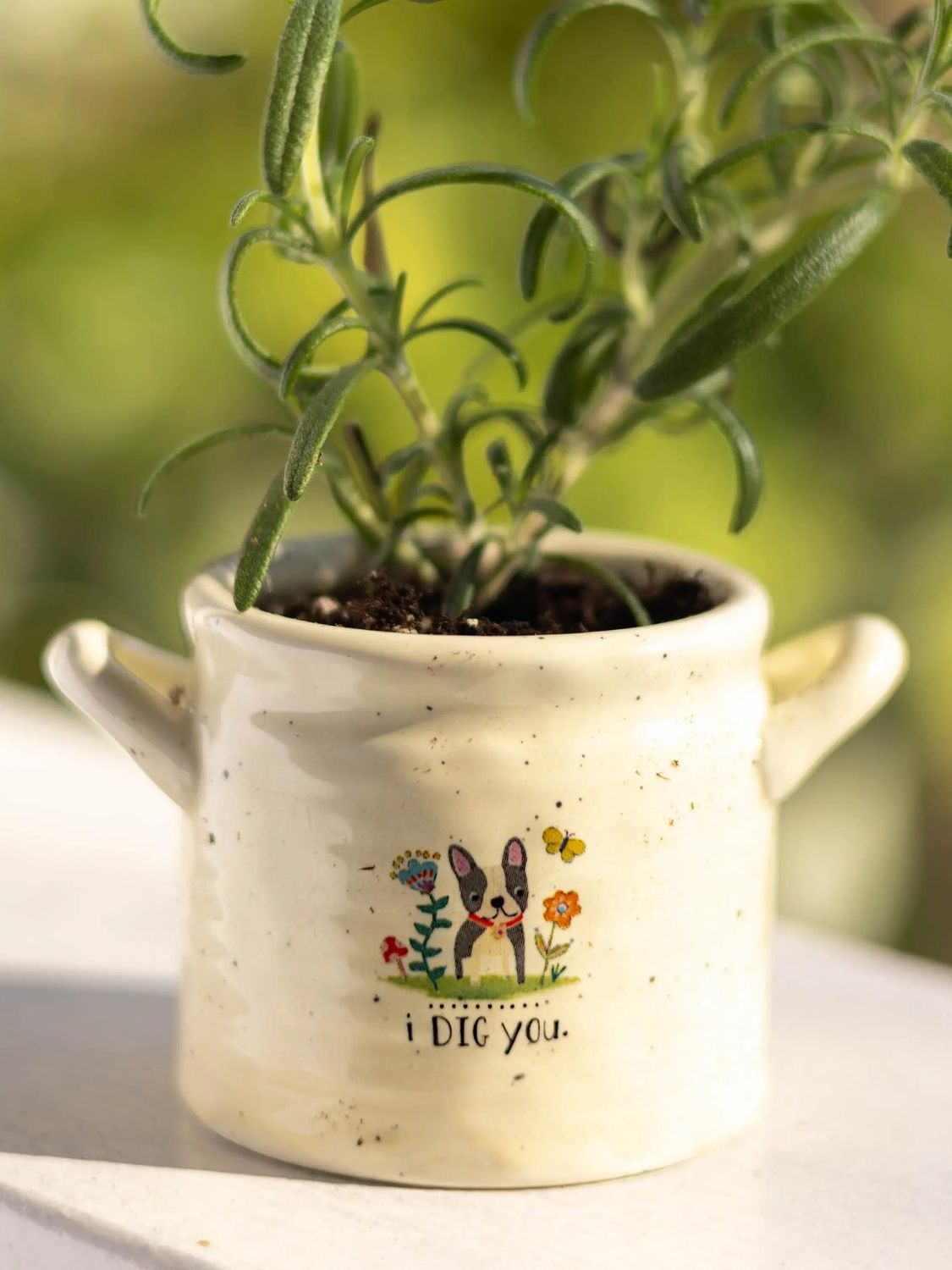 Small Crock Planter- I Dig You