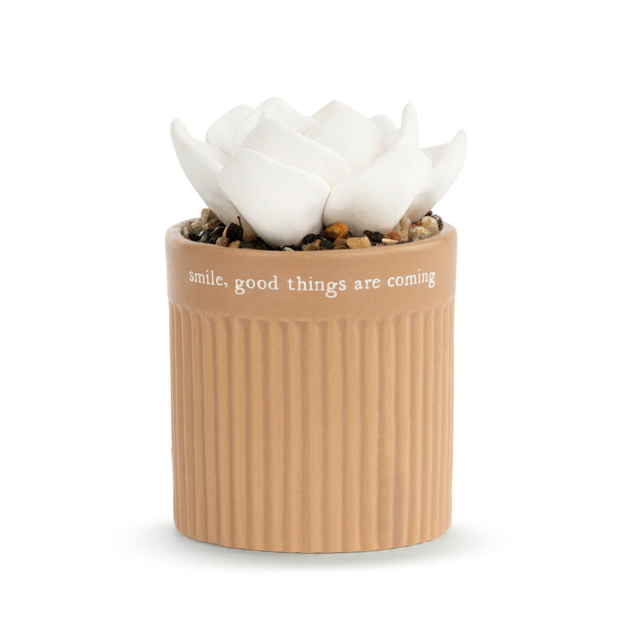Succulent Oil Diffuser in Smile
