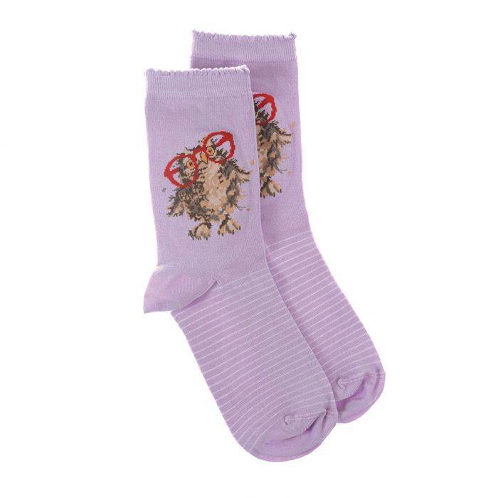 Spectacular Socks