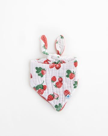 Strawberry Patch Reversible Bandana Bib
