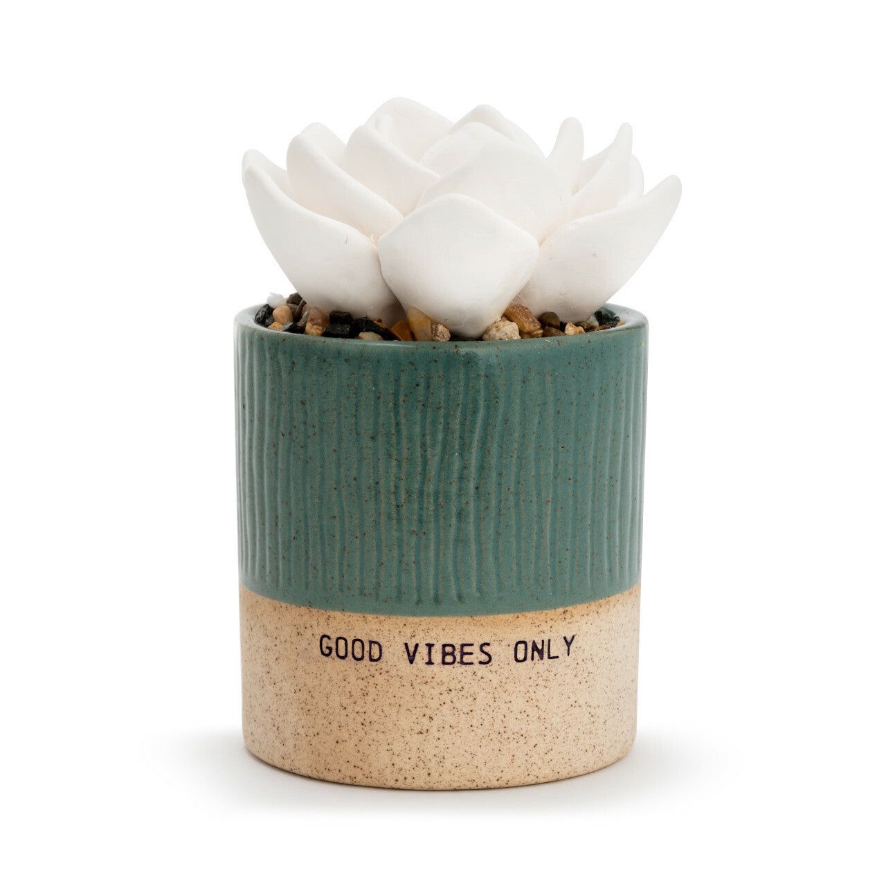 Succulent Oil Diffuser in Good Vibes