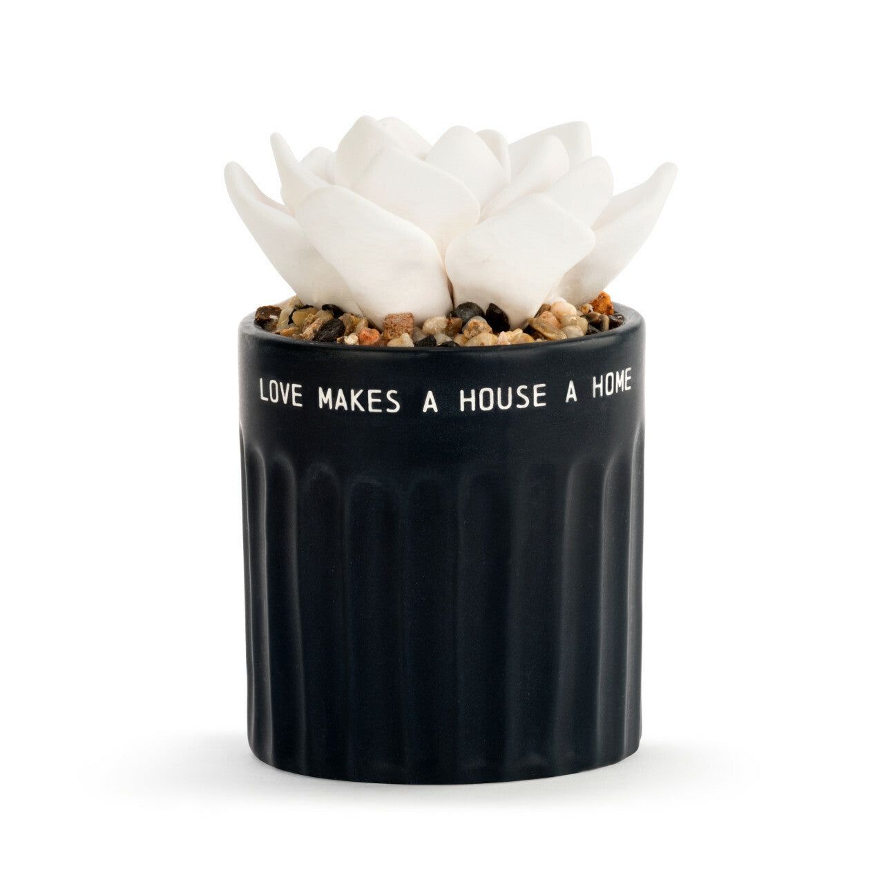 Succulent Oil Diffuser in Home