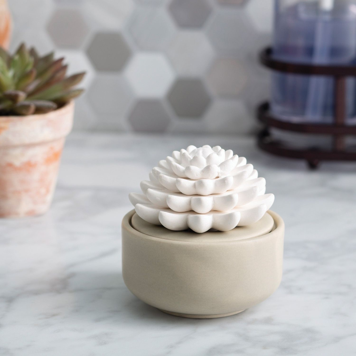 Succulent Porcelain Diffuser with 15ml of Peppermint Essential Oil