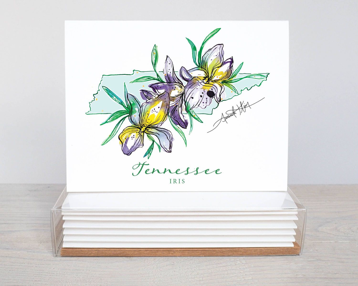 Tennessee Iris State Flower Notecard Set