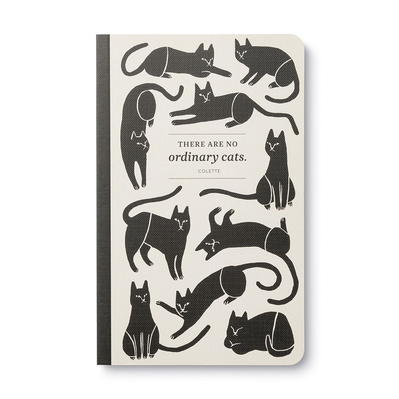 There are No Ordinary Cats- Journal