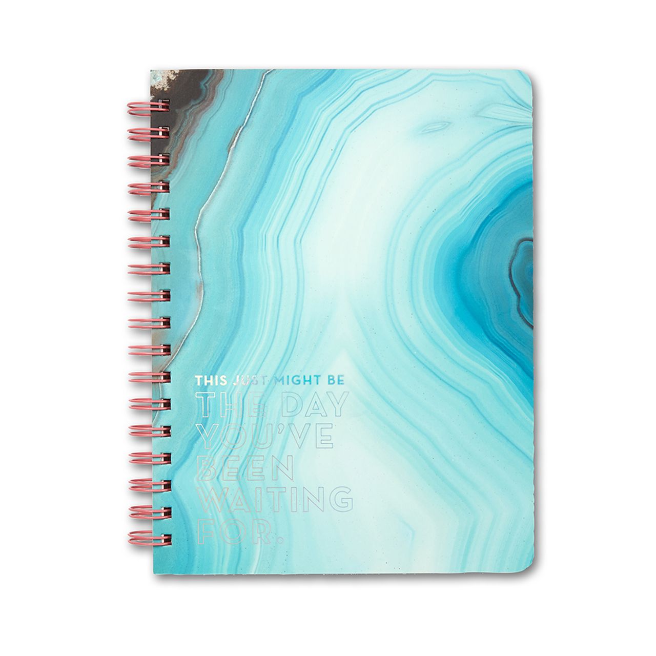 This Just Might Be the Day- Lined Journal