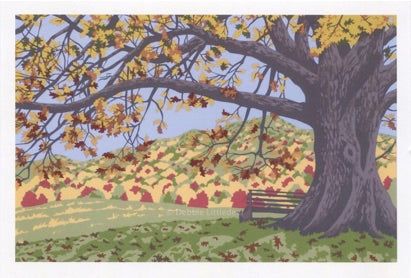 Within the Shelter of the Family Tree Notecard Set Within the Shelter of the Family Tree Notecard Set