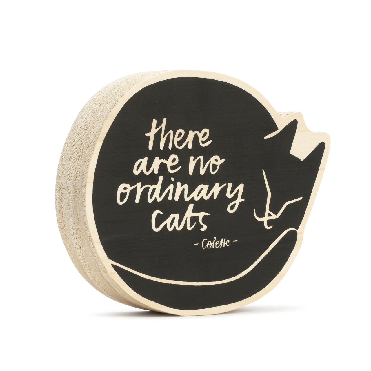 There are no ordinary cats- Art Decor