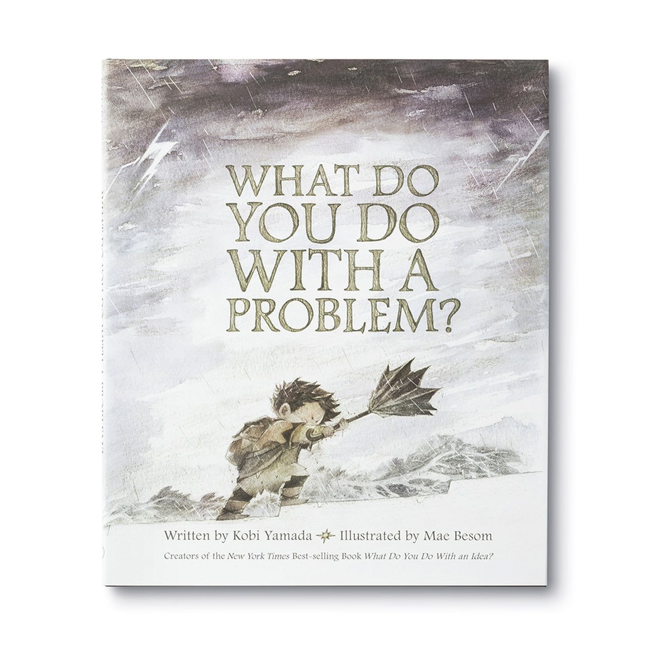 What Do You Do With A Problem?- Children's Book