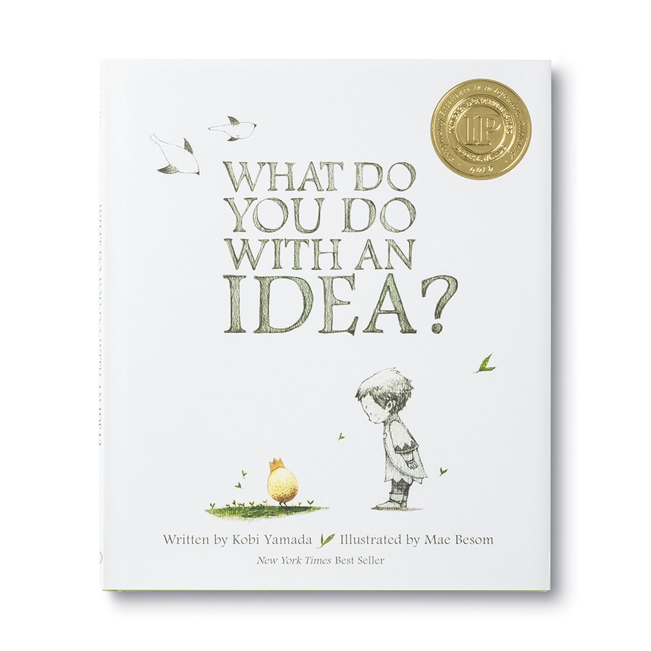 What Do You Do With an Idea?- Book