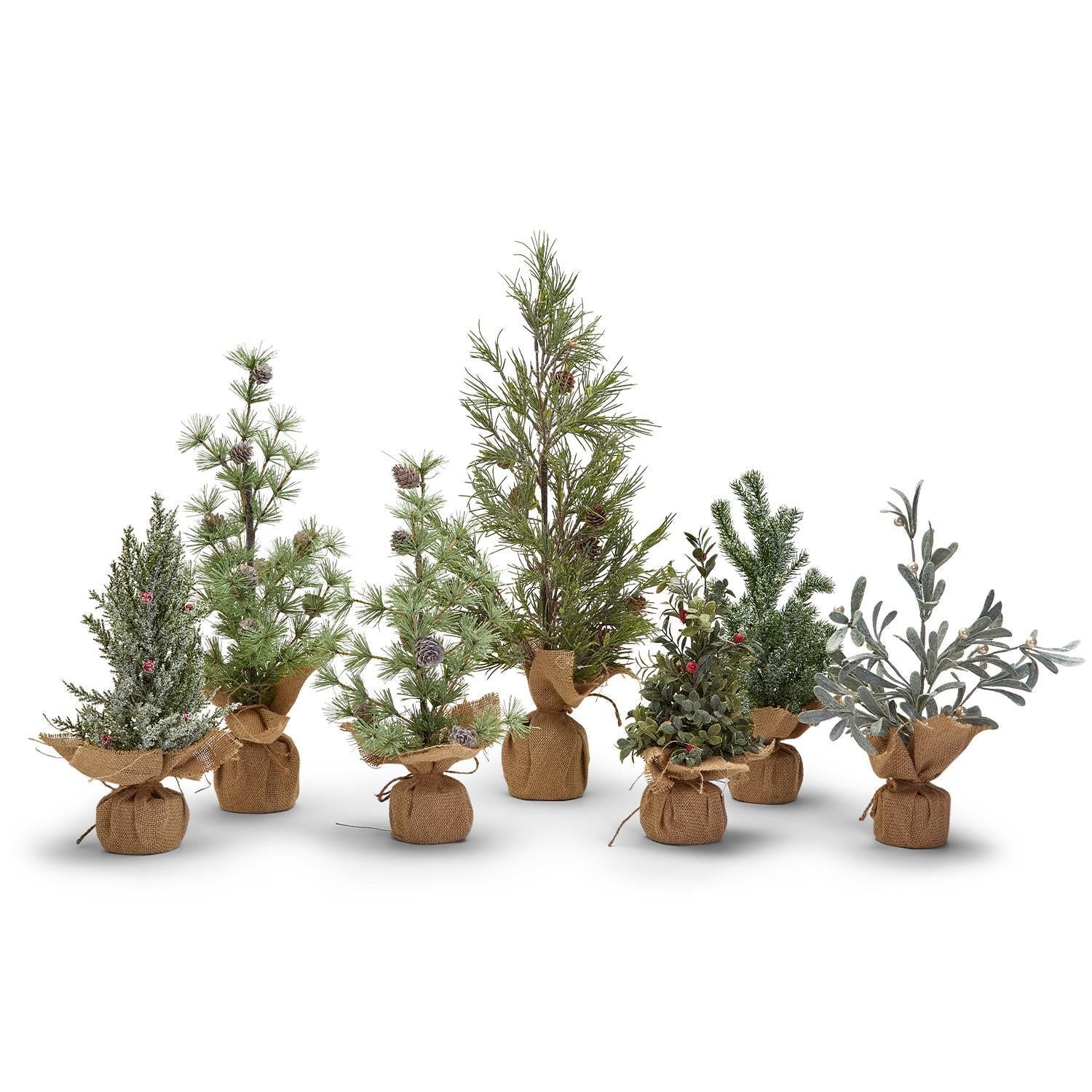 Frosted Evergreen Trees