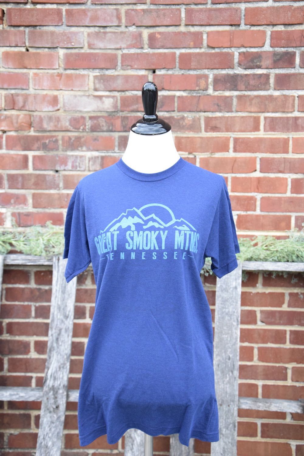 SALE- Great Smoky Mountains Tennessee Tee