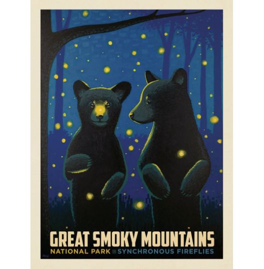 Great Smoky Mountains Firefly Cubs Art Print