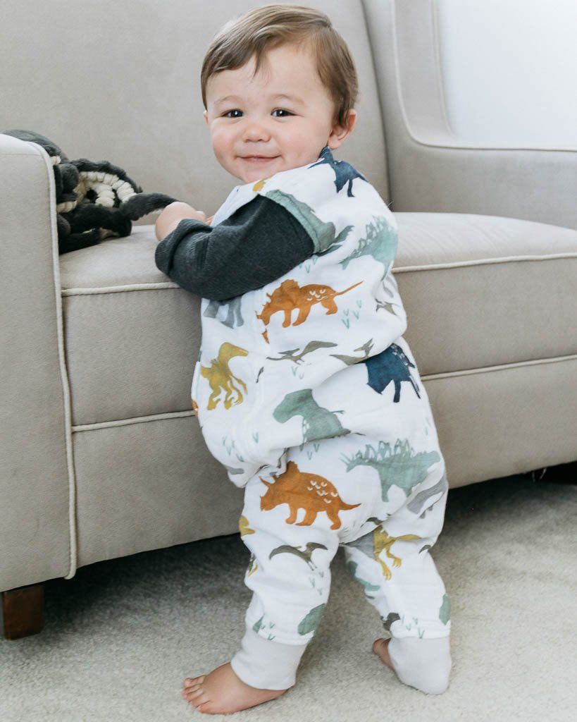 Dino Friends Romper