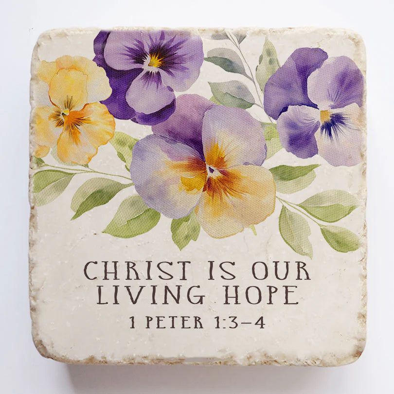 Christ is our living hope Scripture Stone