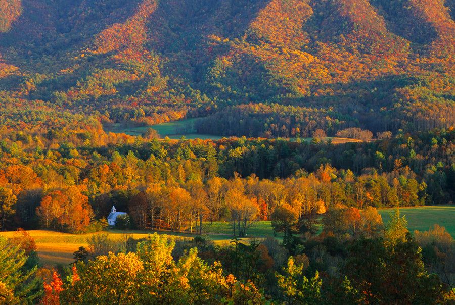 Smoky Mountain Bears &amp; Scenic Canvas Prints, Style: Autumn Church