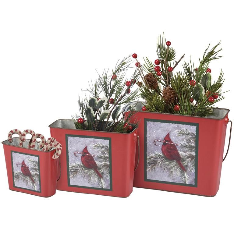 Winter Cardinal Buckets