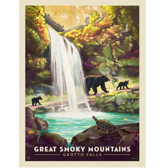 Great Smoky Mountains National Park: Grotto Falls Art Print